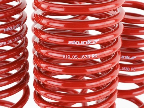 Skunk2 90-97 Honda Accord (All Models) Lowering Springs (2.00in. - 1.80in.) (Set of 4) thumbnail 6