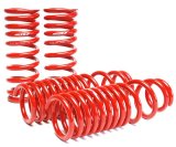 Skunk2 90-93 Acura Integra Lowering Springs (2.50in - 2.25in.) (Set of 4) thumbnail 1