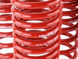 Skunk2 90-93 Acura Integra Lowering Springs (2.50in - 2.25in.) (Set of 4) thumbnail 5