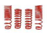 Skunk2 90-93 Acura Integra Lowering Springs (2.50in - 2.25in.) (Set of 4) thumbnail 7