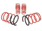 Skunk2 02-04 Acura RSX Lowering Springs (2.25in - 2.00in.) (Set of 4) thumbnail 4
