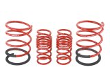 Skunk2 02-04 Acura RSX Lowering Springs (2.25in - 2.00in.) (Set of 4) thumbnail 5