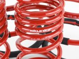 Skunk2 02-04 Acura RSX Lowering Springs (2.25in - 2.00in.) (Set of 4) thumbnail 6