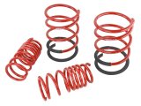 Skunk2 02-04 Acura RSX Lowering Springs (2.25in - 2.00in.) (Set of 4) thumbnail 8