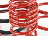 Skunk2 05-06 Acura RSX Lowering Springs (2.25in - 2.00in.) (Set of 4) thumbnail 3