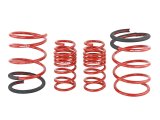 Skunk2 05-06 Acura RSX Lowering Springs (2.25in - 2.00in.) (Set of 4) thumbnail 5
