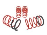Skunk2 05-06 Acura RSX Lowering Springs (2.25in - 2.00in.) (Set of 4) thumbnail 8