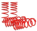 Skunk2 00-04 Honda S2000 Lowering Springs (2.00in. - 1.80in.) (Set of 4) thumbnail 7