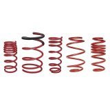 Skunk2 Universal Race Spring (Elliptical) - 6 in.L - 2.5 in.ID - 6kg/mm (0600.250.006E) thumbnail 3