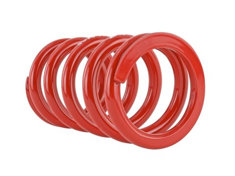 Skunk2 Universal Race Spring (Straight) - 6 in.L - 2.5 in.ID - 10kg/mm (0600.250.010S) thumbnail 7