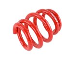 Skunk2 Universal Race Spring (Elliptical) - 6 in.L - 2.5 in.ID - 14kg/mm (0600.250.014E) thumbnail 2