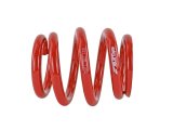 Skunk2 Universal Race Spring (Elliptical) - 6 in.L - 2.5 in.ID - 14kg/mm (0600.250.014E) thumbnail 7