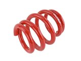 Skunk2 Universal Race Spring (Elliptical) - 6 in.L - 2.5 in.ID - 14kg/mm (0600.250.014E) thumbnail 8