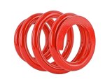 Skunk2 Universal Race Spring (Elliptical) - 6 in.L - 2.5 in.ID - 18kg/mm (0600.250.018E) thumbnail 1