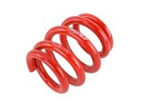 Skunk2 Universal Race Spring (Elliptical) - 6 in.L - 2.5 in.ID - 18kg/mm (0600.250.018E) thumbnail 3