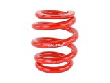 Skunk2 Universal Race Spring (Elliptical) - 6 in.L - 2.5 in.ID - 18kg/mm (0600.250.018E) thumbnail 4