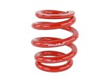 Skunk2 Universal Race Spring (Elliptical) - 6 in.L - 2.5 in.ID - 18kg/mm (0600.250.018E) thumbnail 7