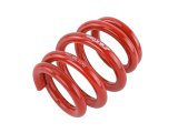Skunk2 Universal Race Spring (Elliptical) - 6 in.L - 2.5 in.ID - 18kg/mm (0600.250.018E) thumbnail 8