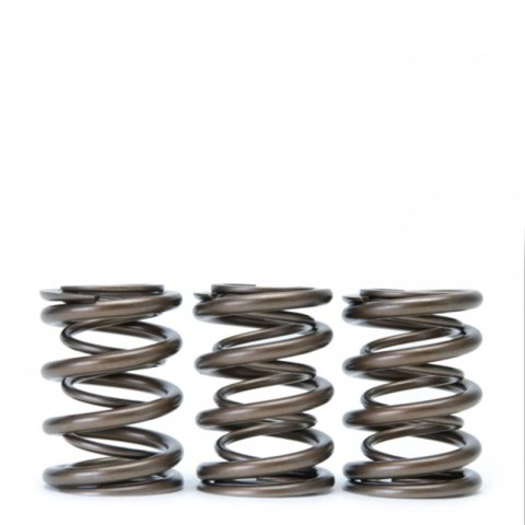 Skunk2 Tuner Series Honda/Acura (H22A/F20B) DOHC VTEC Alpha Valve Spring Set (Dual Springs) thumbnail 4