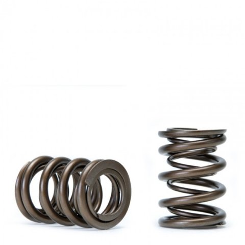 Skunk2 Tuner Series Honda/Acura (H22A/F20B) DOHC VTEC Alpha Valve Spring Set (Dual Springs) thumbnail 5