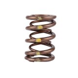 Skunk2 Pro Series Honda/Acura B-Series VTEC XP Valve Spring Set (Dual Springs) thumbnail 1