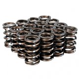 Skunk2 Pro Series Honda/Acura B-Series VTEC XP Valve Spring Set (Dual Springs) thumbnail 2