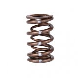 Skunk2 Pro Series Honda/Acura B-Series VTEC XP Valve Spring Set (Dual Springs) thumbnail 4