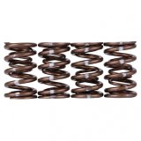 Skunk2 Pro Series Honda/Acura B-Series VTEC XP Valve Spring Set (Dual Springs) thumbnail 5