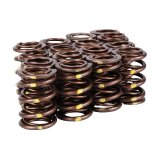 Skunk2 Pro Series Honda/Acura B-Series VTEC XP Valve Spring Set (Dual Springs) thumbnail 6