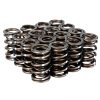 Skunk2 Pro Series Honda/Acura B-Series VTEC XP Valve Spring Set (Dual Springs) thumbnail 7