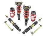 Skunk2 17-20 Honda Civic Si Pro-ST Coilovers thumbnail 1