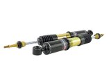 Skunk2 17-20 Honda Civic Si Pro-ST Coilovers thumbnail 2