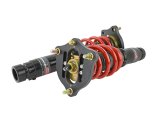 Skunk2 17-20 Honda Civic Si Pro-ST Coilovers thumbnail 6