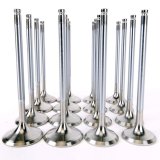 Skunk2 Alpha Series Honda/Acura Stock Size D Series Valve Set (Standard Compression) thumbnail 8
