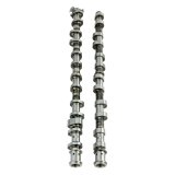 Skunk2 2020+ Toyota GR Supra (MK5) / 2019+ BMW Z4 B58 Ultra Series Stage 1 Camshafts thumbnail 4