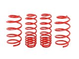 Skunk2 07-12 Honda Civic Type-R (FN2) Lowering Springs (Set of 4) thumbnail 3