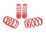 Skunk2 07-12 Honda Civic Type-R (FN2) Lowering Springs (Set of 4) thumbnail 4