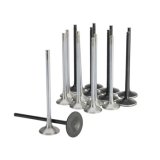 Skunk2 Honda K20C1 Alpha Series Intake & Exhaust Valve Set (Standard Compression) thumbnail 1