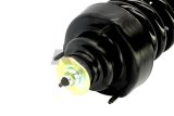 KYB Shocks & Struts Strut Plus Rear Ford Explorer 2002-05 thumbnail 8
