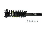 KYB Shocks & Struts Strut Plus Front Right Honda Accord (V6 3.0L) 03-07 thumbnail 2