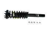 KYB Shocks & Struts Strut Plus Front Right Honda Accord (V6 3.0L) 03-07 thumbnail 9