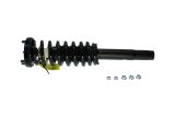 KYB Shocks & Struts Strut Plus Front Left Honda Accord (V6 3.0L) 03-07 thumbnail 3