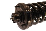 KYB Shocks & Struts Strut Plus Rear Ford Expedition (2wd/4wd) 2006-2003 thumbnail 1