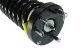 KYB Shocks & Struts Strut Plus Front Left Honda Accord (L4 2.4L) 03-07 thumbnail 1