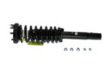 KYB Shocks & Struts Strut Plus Front Right Honda Accord (L4 2.4L) 03-07 thumbnail 2