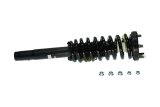 KYB Shocks & Struts Strut Plus Front Right Honda Accord (L4 2.4L) 03-07 thumbnail 3