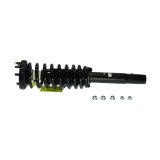 KYB Shocks & Struts Strut Plus Front Right Honda Accord (L4 2.4L) 03-07 thumbnail 5