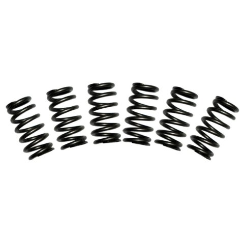 BD Diesel Valve Spring Kit 60lb Cummins 5.9 12-valve thumbnail 1