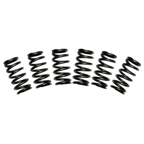 BD Diesel Valve Spring Kit 60lb Cummins 5.9 12-valve thumbnail 3