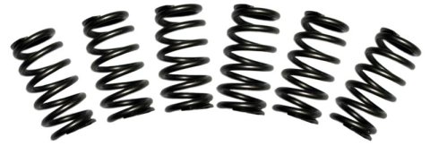 BD Diesel Valve Spring Kit 60lb Cummins 5.9 12-valve thumbnail 4